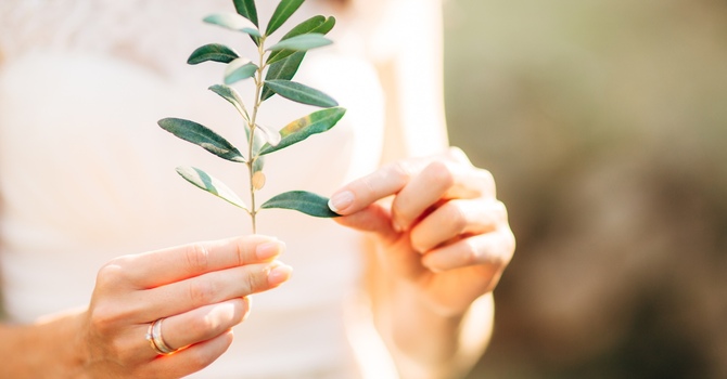  The Role of Active Listening in Counselling: Why It's More Than Just Talking image