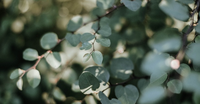  The Role of Active Listening in Counselling: Why It's More Than Just Talking image